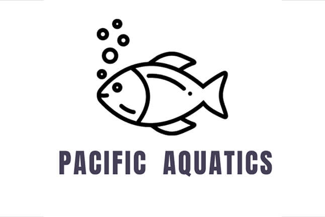 Aquarium-Shop-Business-Logo-Branding-Ideas