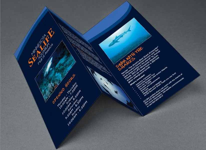 Aquairum Brochure Design Ideas