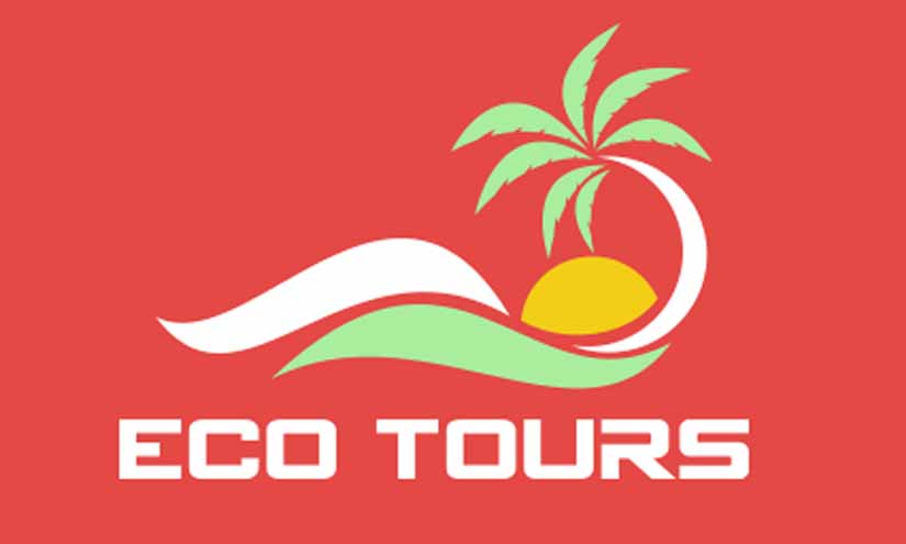 Local Tour Guide Company Brand Name Ideas