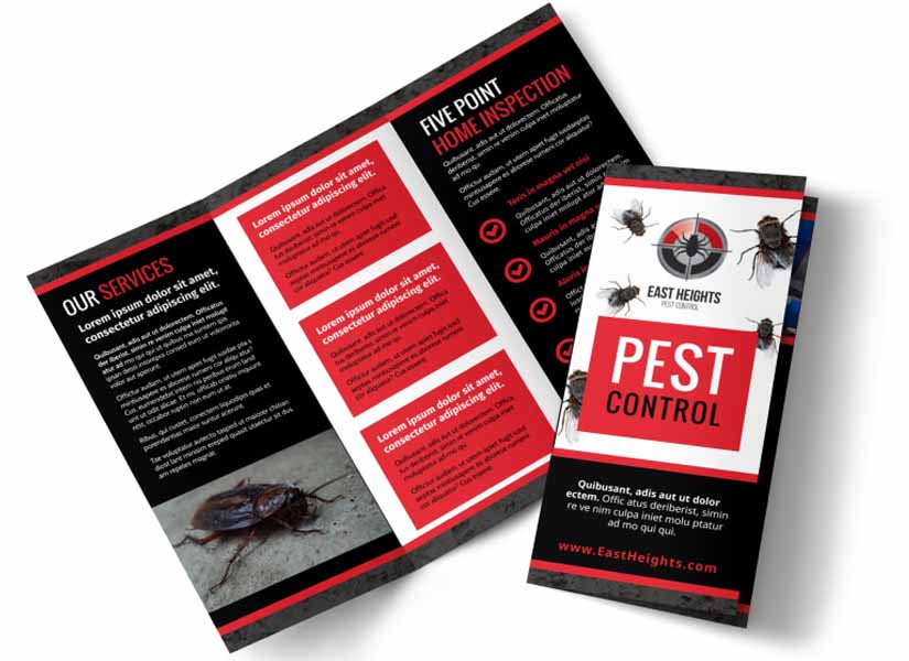 Pest Control Brochure Design ideas