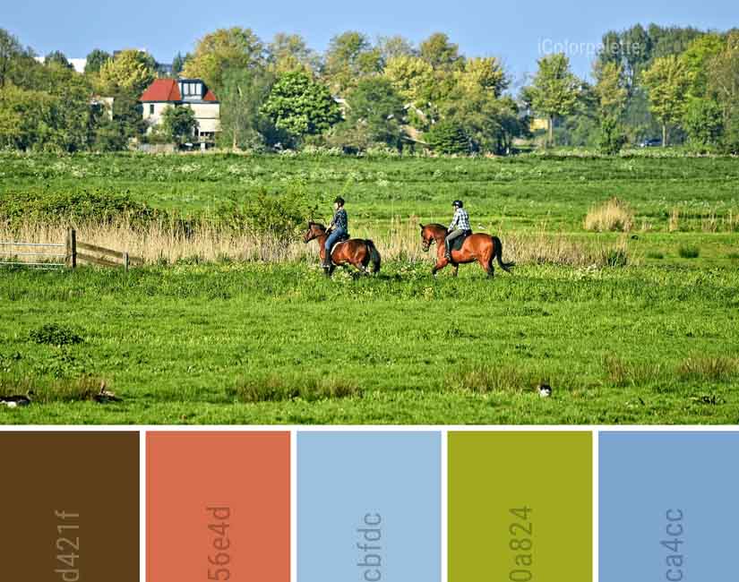 Organic Farm Color Shades Design Ideas