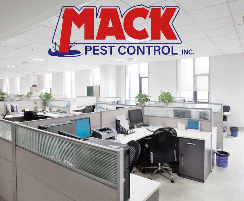 Pest Control Interior Design Ideas