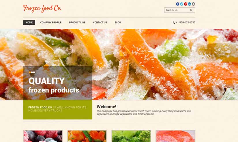 Frozen Food Business Digital Marketing Ideas