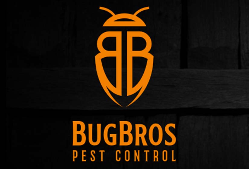 Pest Control Branding ideas